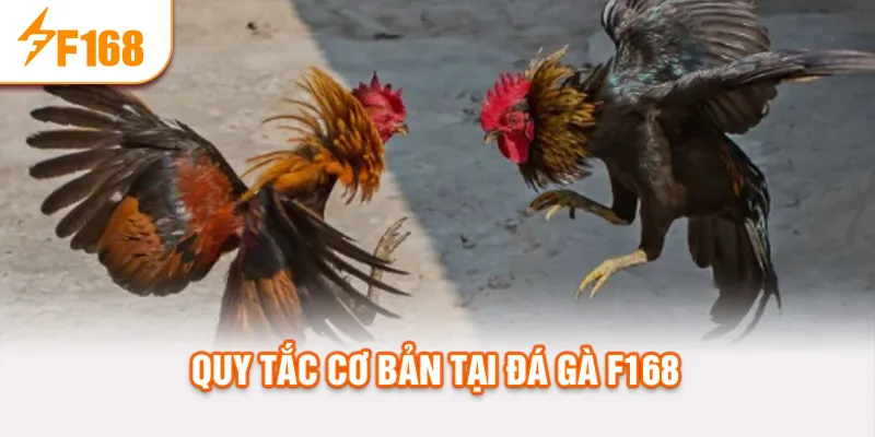 Quy tắc cơ bản tại đá gà f168
